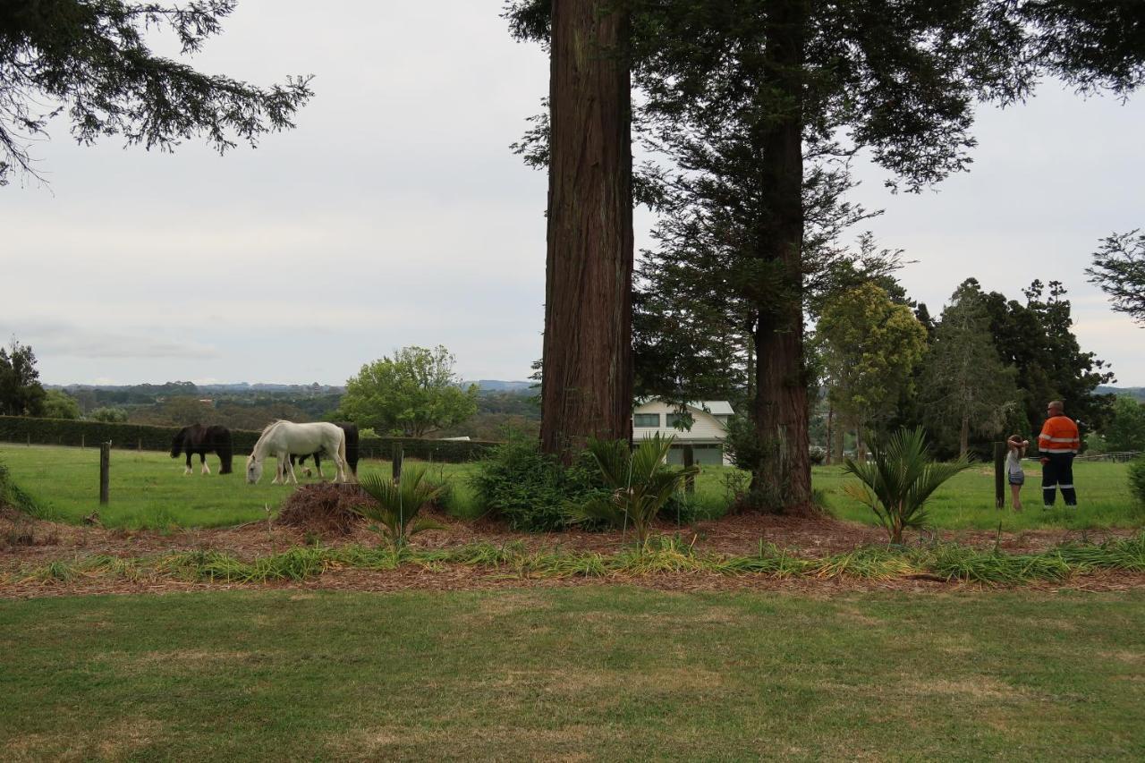 Cosy Nights - Modern, Self-Contained With Parking Διαμέρισμα Kerikeri Εξωτερικό φωτογραφία